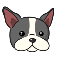 The DagsHub logo, an illustration of the head of a pug dog